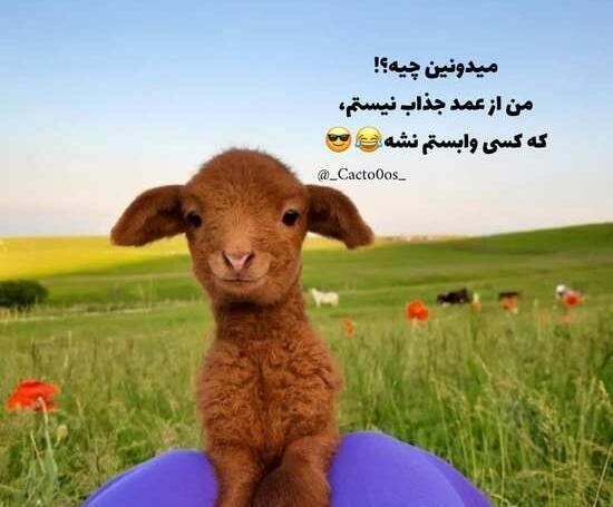 عکس خنده دار با متن جدید