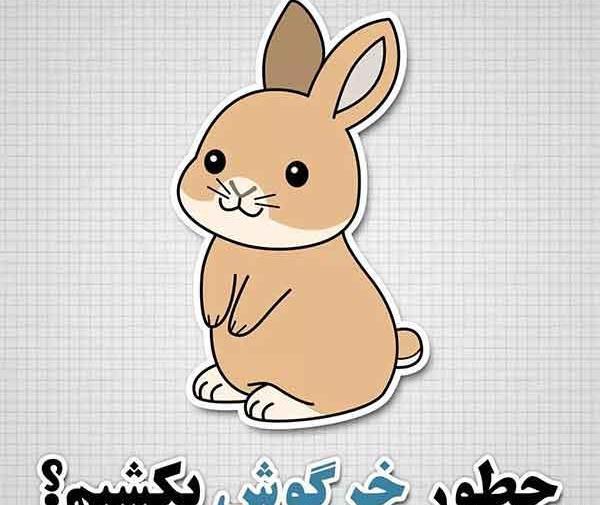 فانتزی عکس خرگوش کارتونی ناز