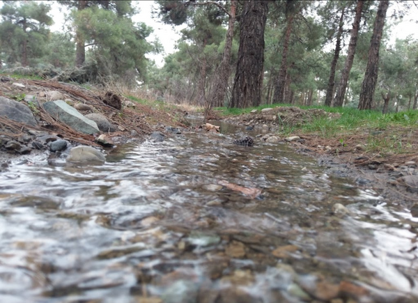 عکس پارک جنگلی خرگوش دره