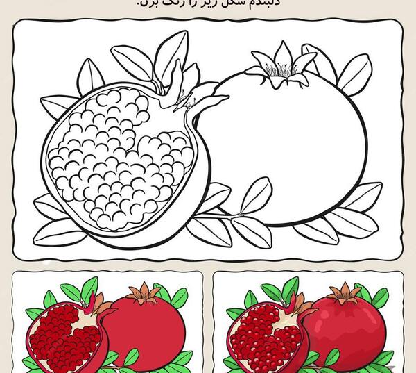 عکس خرگوش برای شب یلدا
