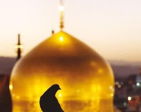 عکس حرم امام رضا محرم ۱۴۰۳