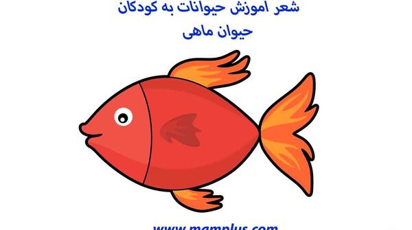 عکس حیوانات برای آموزش به کودکان