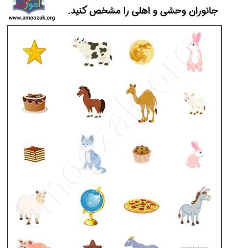عکس حیوانات برای آموزش به کودکان