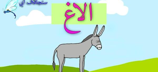 عکس حیوانات برای آموزش به کودکان