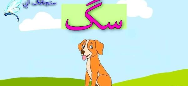 عکس حیوانات برای آموزش به کودکان