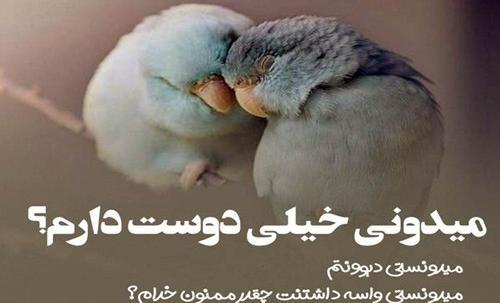 عکس پروفایل حیوانات عاشقانه