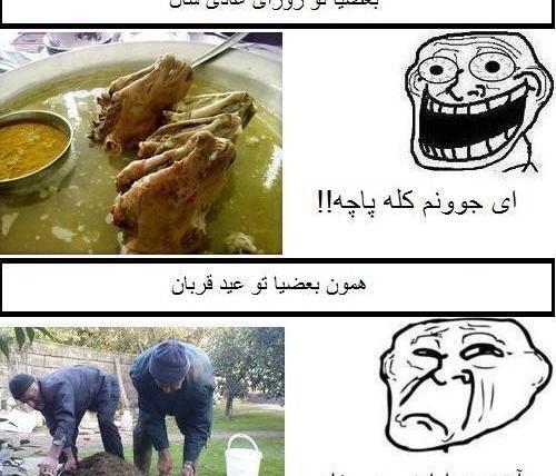 عکس خنده دار برای عید قربان