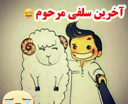 عکس خنده دار برای عید قربان