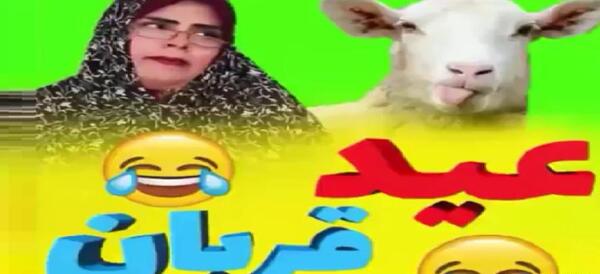 عکس خنده دار برای عید قربان