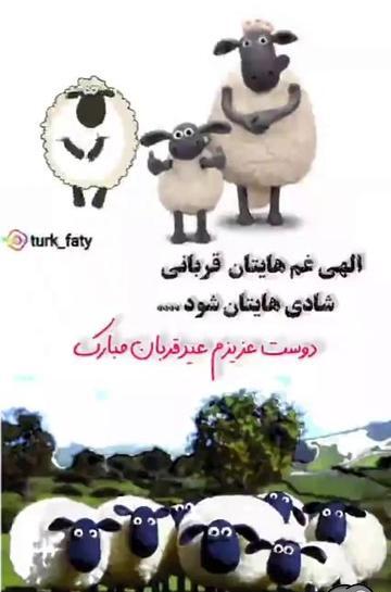 عکس خنده دار برای عید قربان