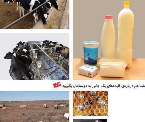 عکس حیوانات مفید و غیرمفید