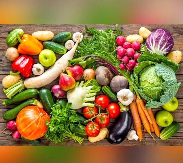 عکس حیوانات مفید و غیرمفید