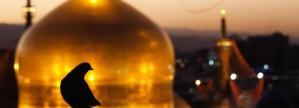 عکس گنبد و گلدسته حرم امام رضا