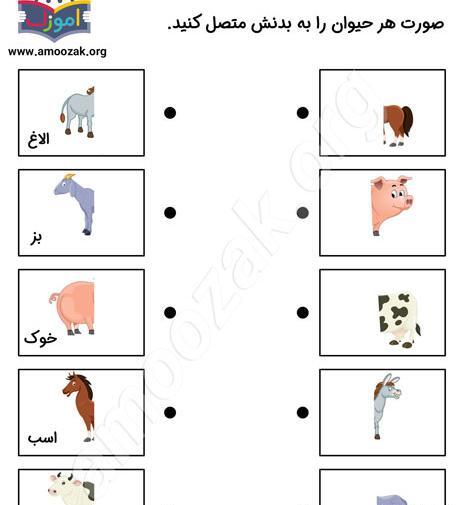 عکس حیوانات اهلی و وحشی کودکانه