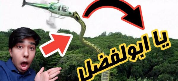 عکس قوی ترین حیوانات
