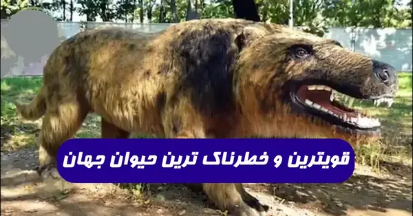 عکس قوی ترین حیوانات