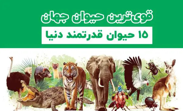 عکس قوی ترین حیوانات