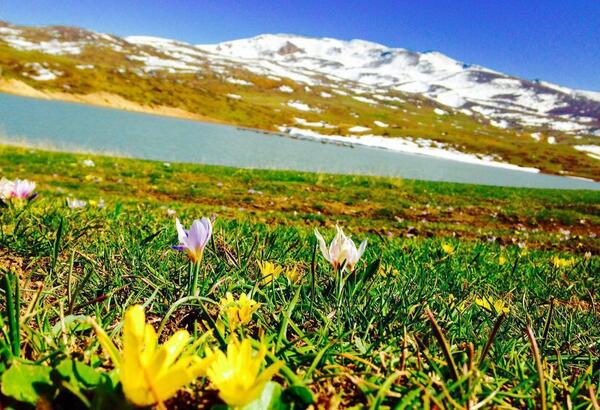 عکسهای طبیعت بهاری گیلان