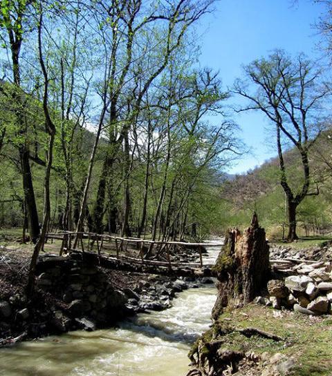 عکسهای طبیعت بهاری گیلان