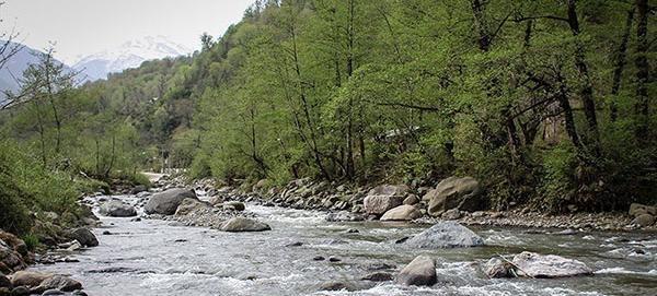 عکسهای طبیعت بهاری گیلان
