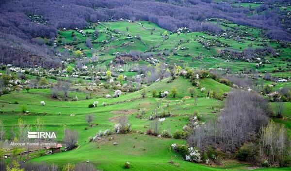 عکسهای طبیعت بهاری گیلان