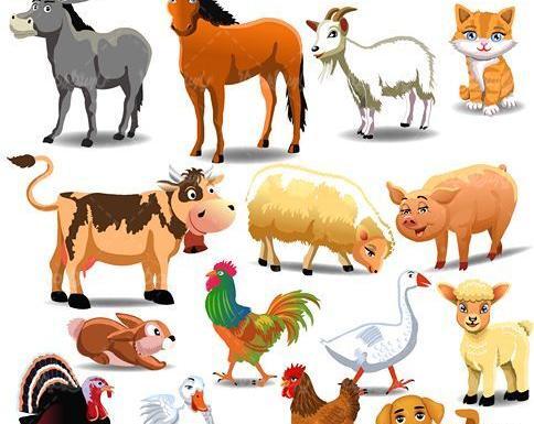 عکس مزرعه حیوانات اهلی