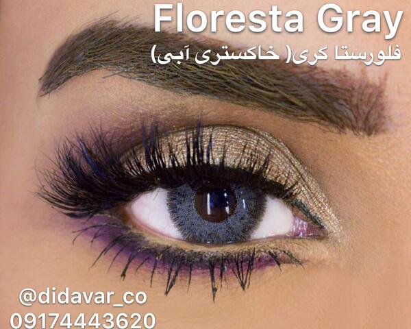 عکس چشم رنگی خاکستری