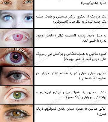 عکس چشم رنگی خاکستری