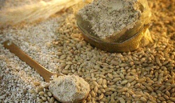عکس سویق گندم و جو