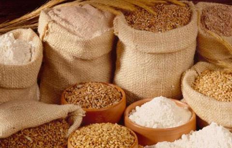 عکس سویق گندم و جو