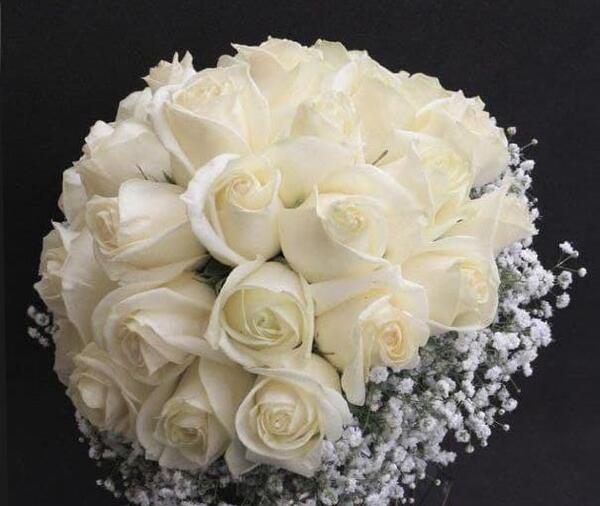عکس گل رز سفید و قرمز برای پروفایل