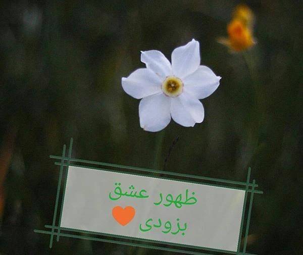عکس انتظار امام زمان بدون متن