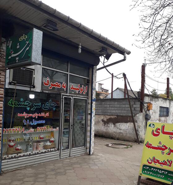 عکس کارخانه چای لاهیجان