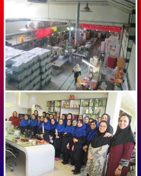 عکس کارخانه چای لاهیجان