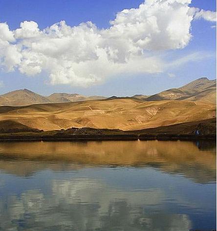 عکس از جن پری