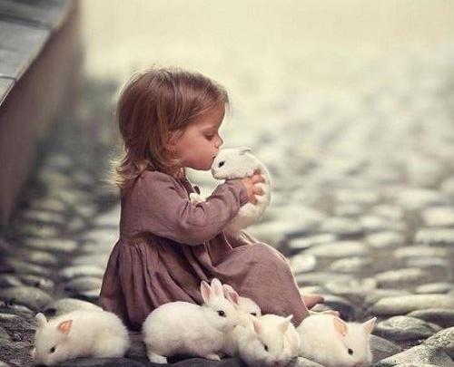 عکس خرگوش بامزه کوچولو