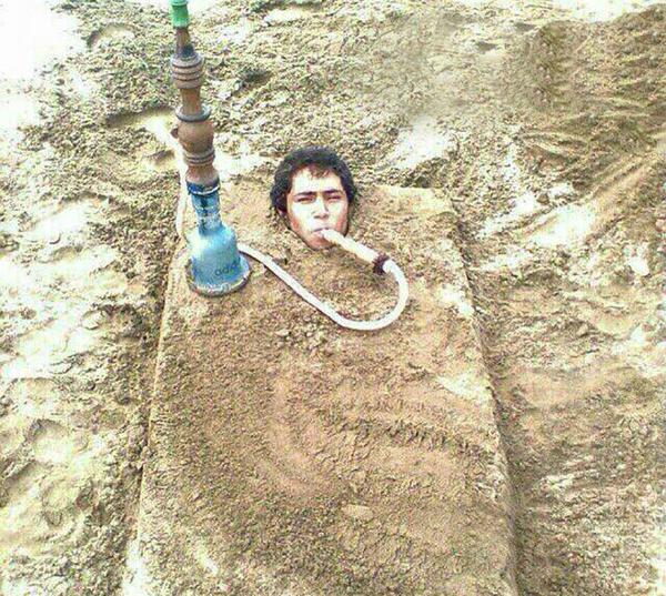 جالب ترین عکس