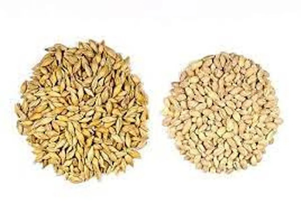 عکس جو دوسر با جو پرک