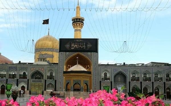 عکس کبوترانه حرم امام رضا
