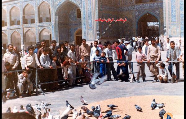 عکس کبوترانه حرم امام رضا
