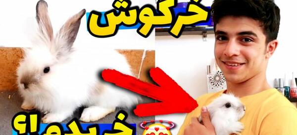 عکس زشت ترین خرگوش دنیا
