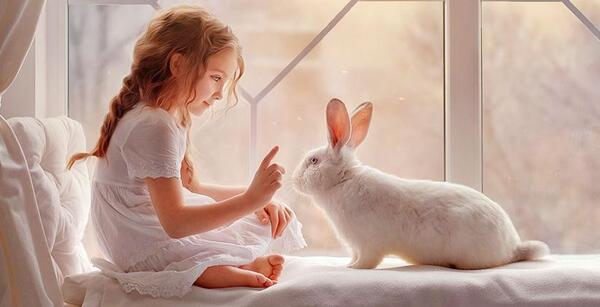 عکس زشت ترین خرگوش دنیا