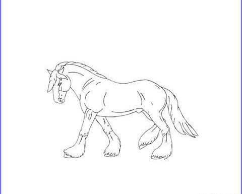 عکس اسب برای نقاشی کودک