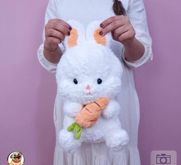عکس عروسک خرگوش نرم