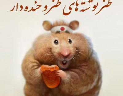 طنز عکس خنده دار حیوانات با متن