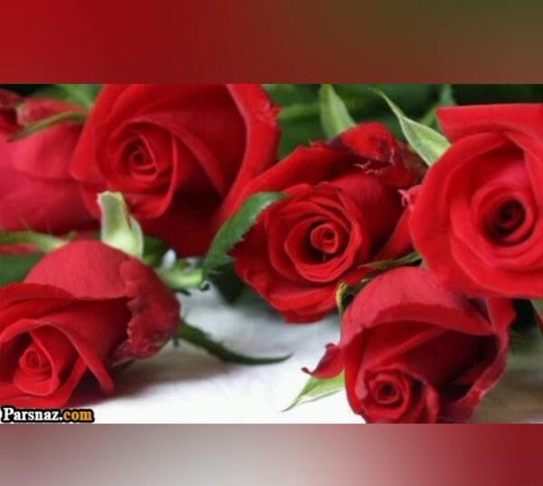 عکس خداحافظی از معلم و دوستان