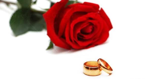 عکس گل با حلقه ازدواج