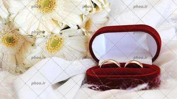 عکس گل با حلقه ازدواج