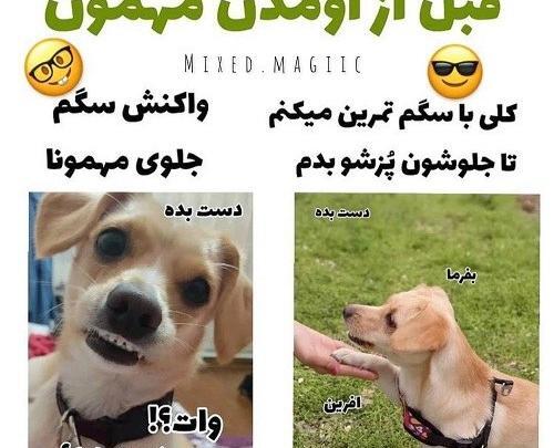 عکس های خنده دار پسرانه جدید