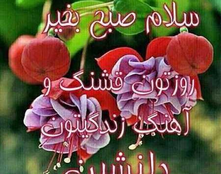 عکس دختر خنده دار صبح بخیر
